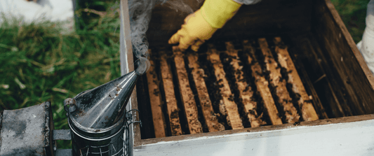 Scientific vs Unscientific Beekeeping: What’s the Difference and Why It Matters 🐝