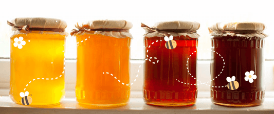 The Palette of Nature: Light and Dark Colored Honey