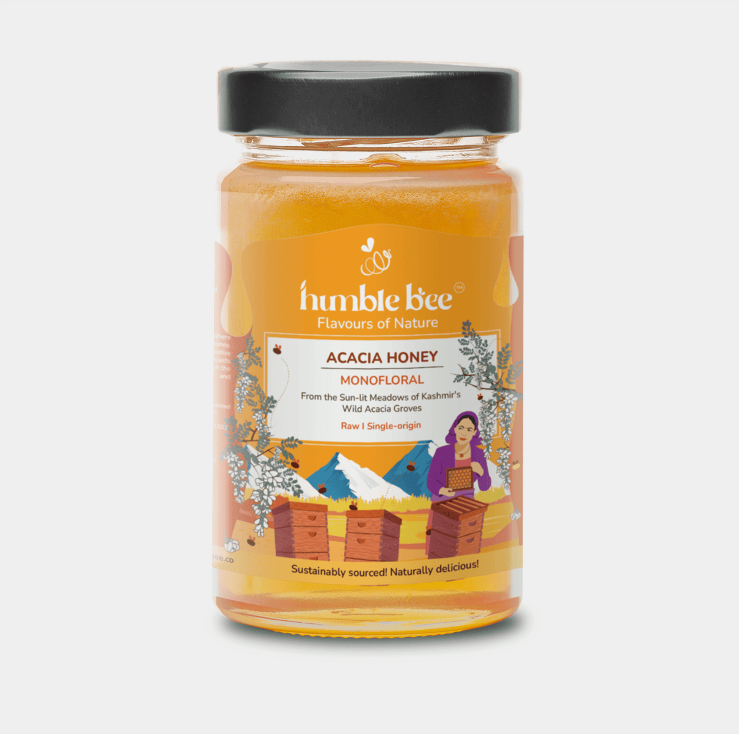Acacia Honey_First View